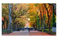 Gafas Oakley Sutro Black Yellow Prizm 24k -Guantes Ventas 8397085e6a51324cfc41.23891473